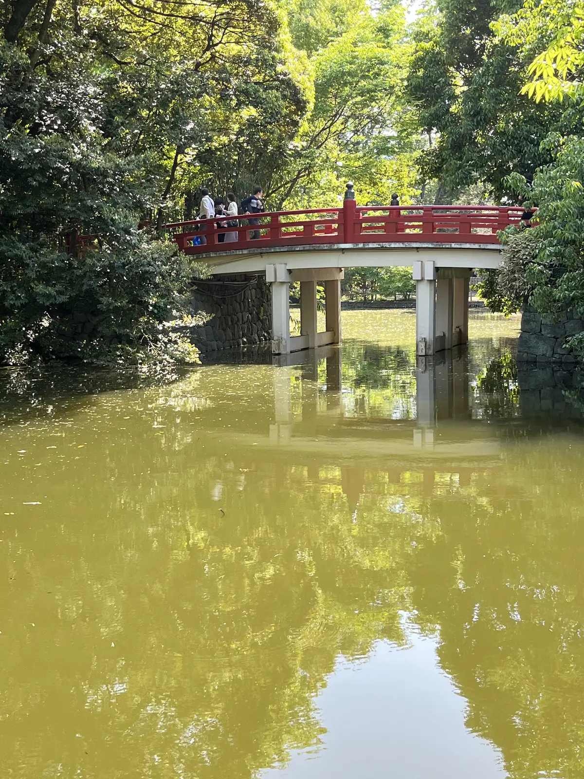 チキンを食べにの画像_13