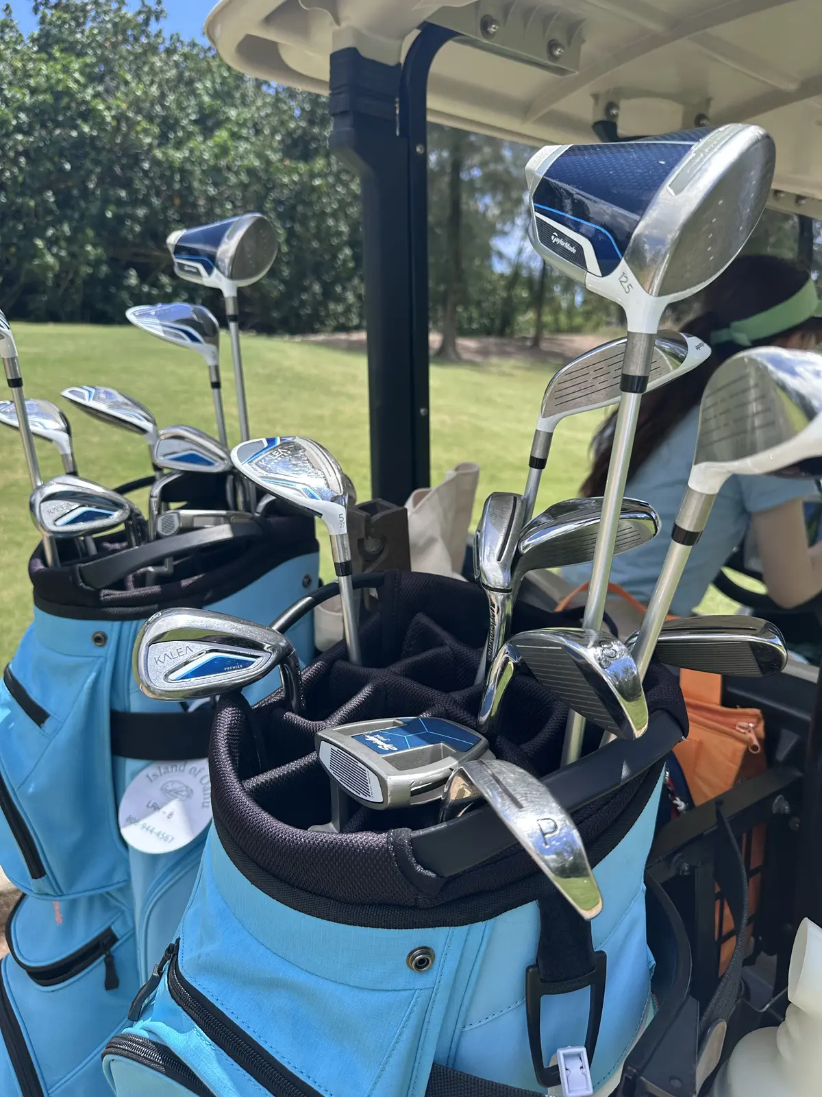 ハワイでのアクティビティの画像_5