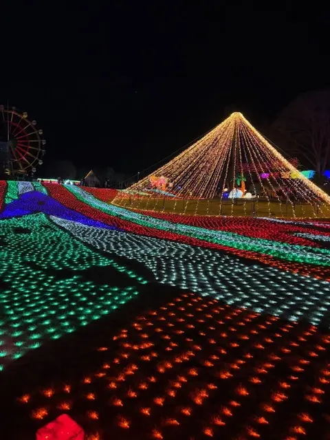 ドイツ村のウィンターイルミネーション素敵の画像_3