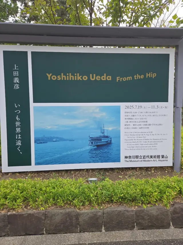 京急 葉山女子旅きっぷで巡る私の青春の地の画像_8