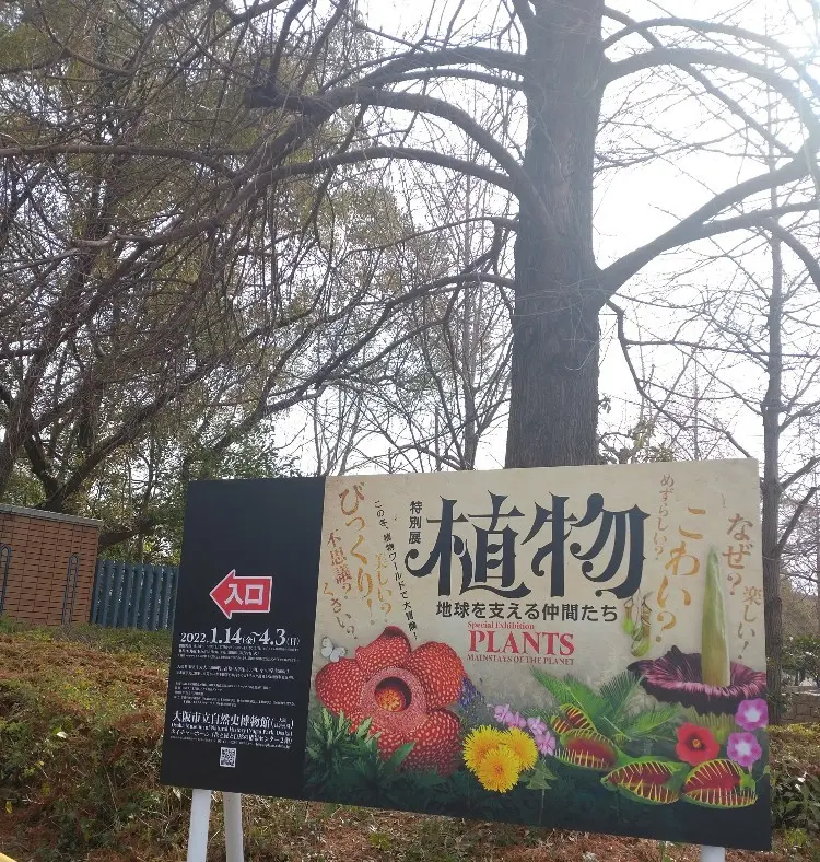 Let's 光合成！植物から学んだ、これの画像_1