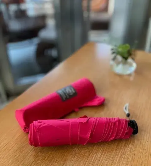 晴雨兼用で軽量、しかも簡単にたためる傘が大活躍