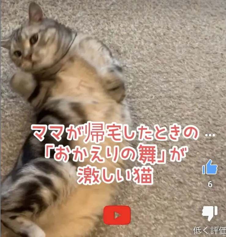 お帰りの舞をするアラン