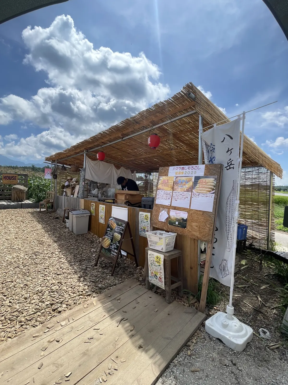 かぶりつけば至福！八ヶ岳生とうもろこしの画像_8