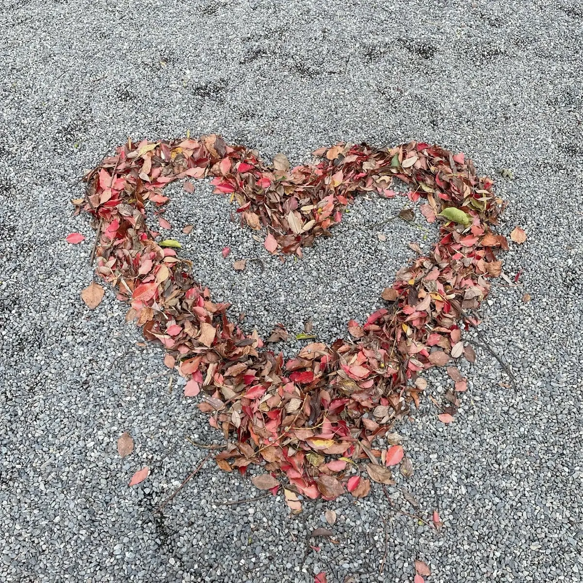 〜国内屈指のパワースポット〜『来宮神社』の画像_4