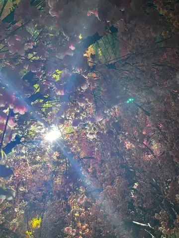 芸術鑑賞Dayで癒されるの画像_5