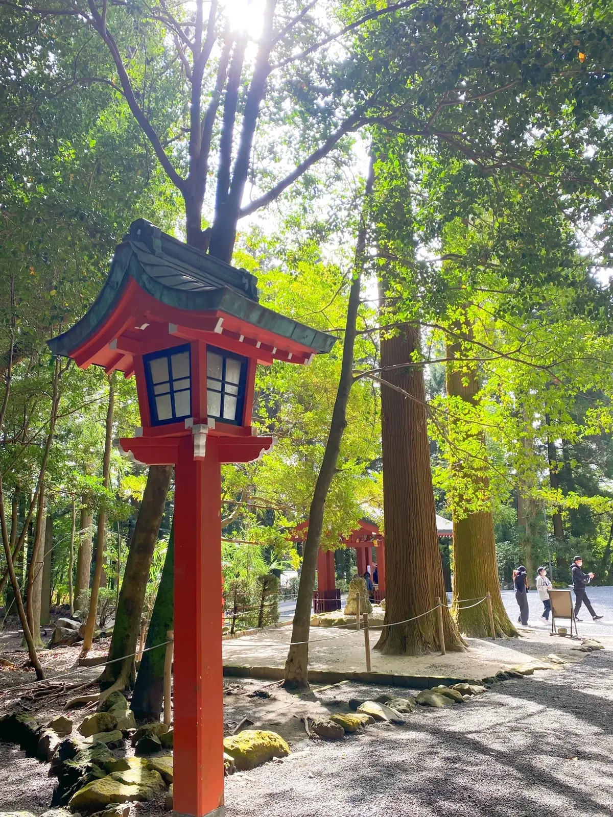 九州旅行へ　〜霧島神社・別府温泉編〜 の画像_4