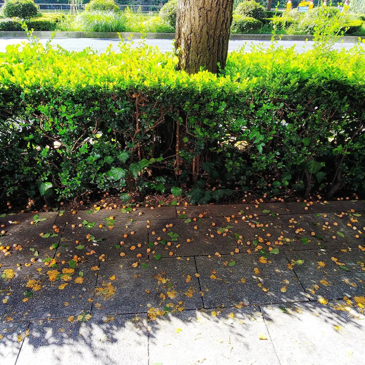 『丸の内散歩』の画像_2