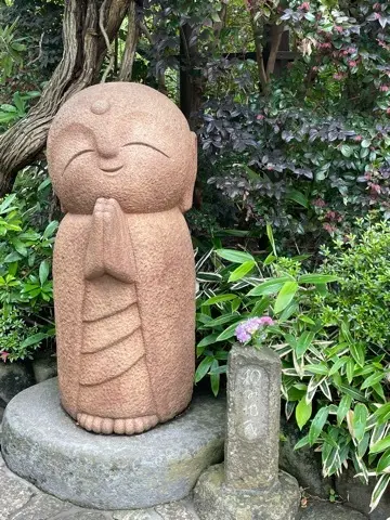 リアルタイムでお伝えする、鎌倉長谷寺あじの画像_14