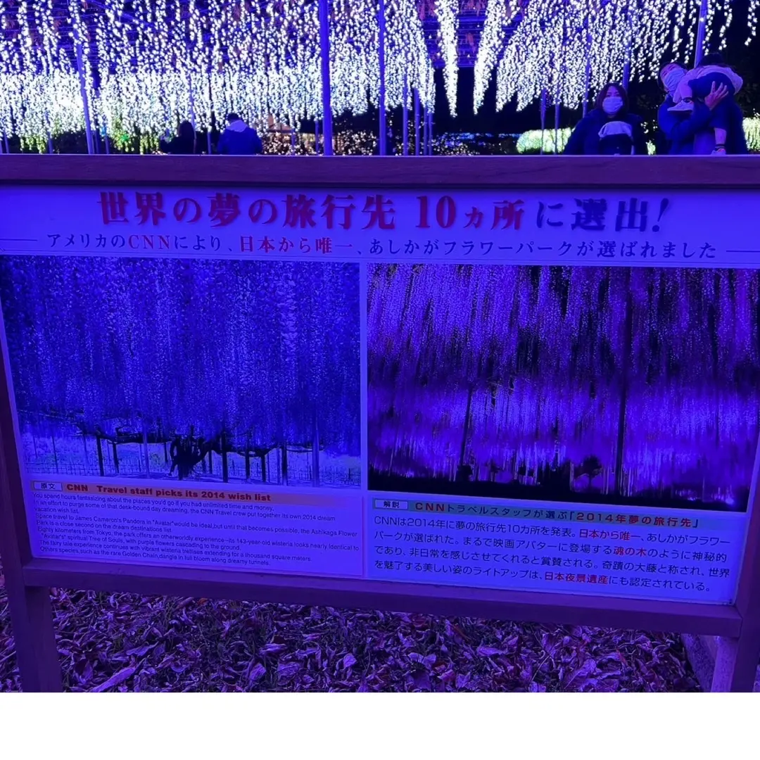 ルンルン気分で光の藤を見に♪の画像_2