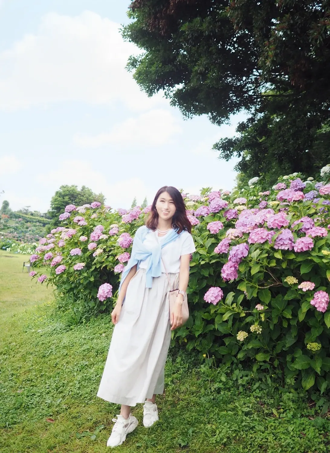 ハッピースポット!ハートあじさいに願いをの画像_9