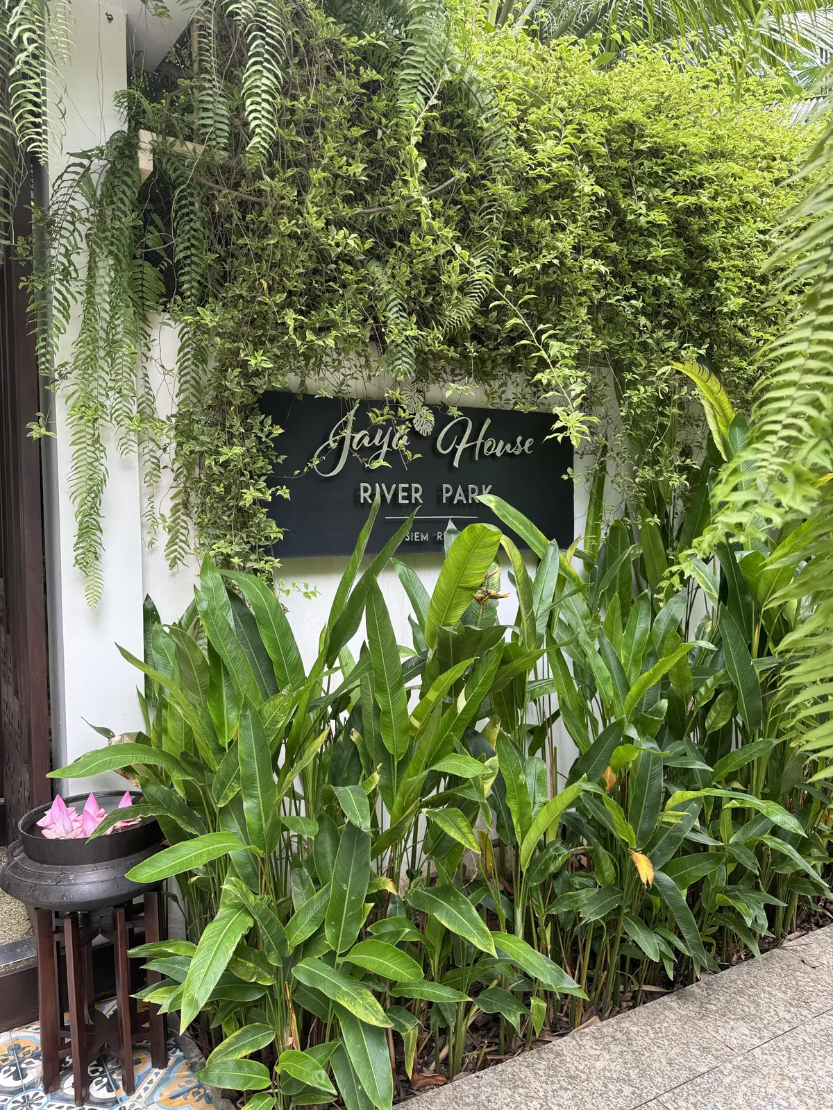 夏旅 to CAMBODIA🇰🇭前編（シの画像_8