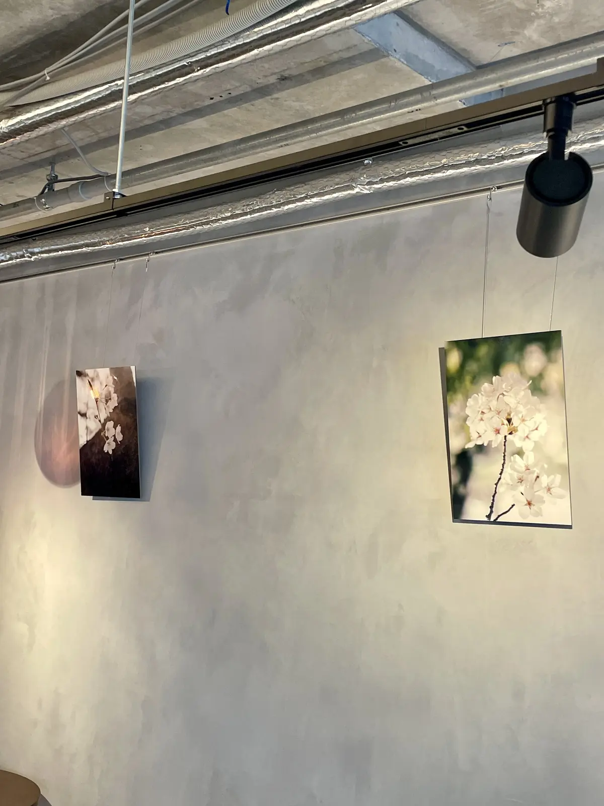 お洒落、お洒落空間、おしゃれカフェ、お洒落カフェ、絶品スイーツ、スイーツ、蜜芋、蜜芋パフェ、苺、いちご、イチゴ、ジェラート、アイス、バニラアイス、ミルクアイス、店内、グルテンフリースイーツカフェ、グルテンフリー、お芋パフェ、蜜芋パフェ、OIMOパフェ、& OIMO TOKYO CAFE、お芋カフェ、カフェ、お洒落、お洒落カフェ、おしゃれカフェ、中目黒、大人空間、桜、パネル、桜の写真、アート、インテリア