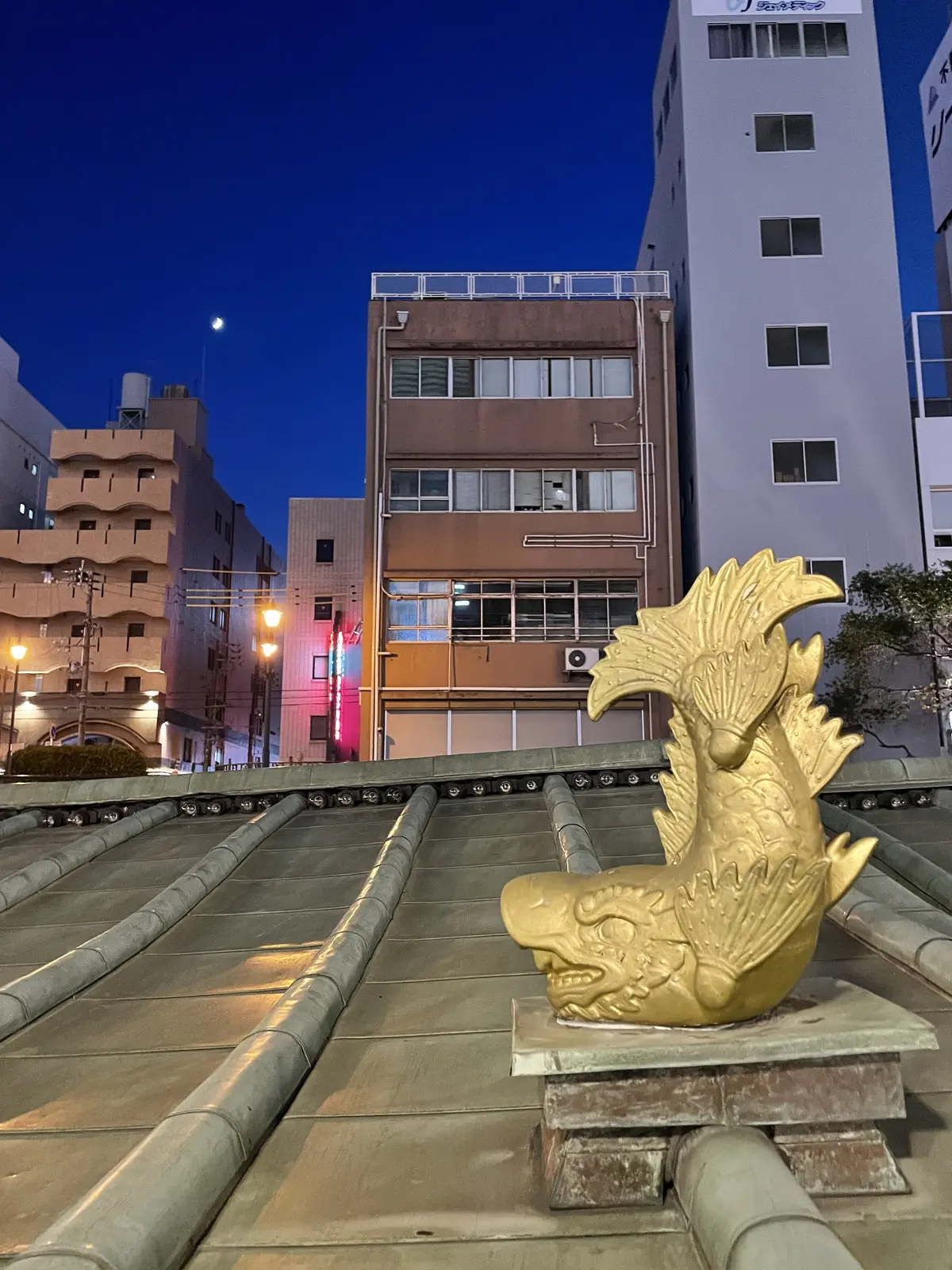 日本の夏の夜は浴衣でお舟遊びが最高です♪の画像_7