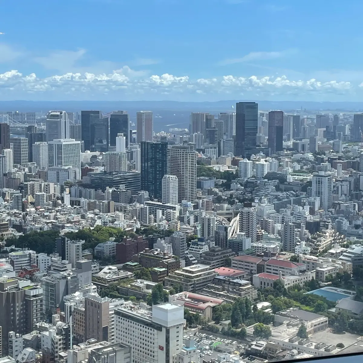 フレンチダイニング「アジュール フォーティーファイブ」からの景色