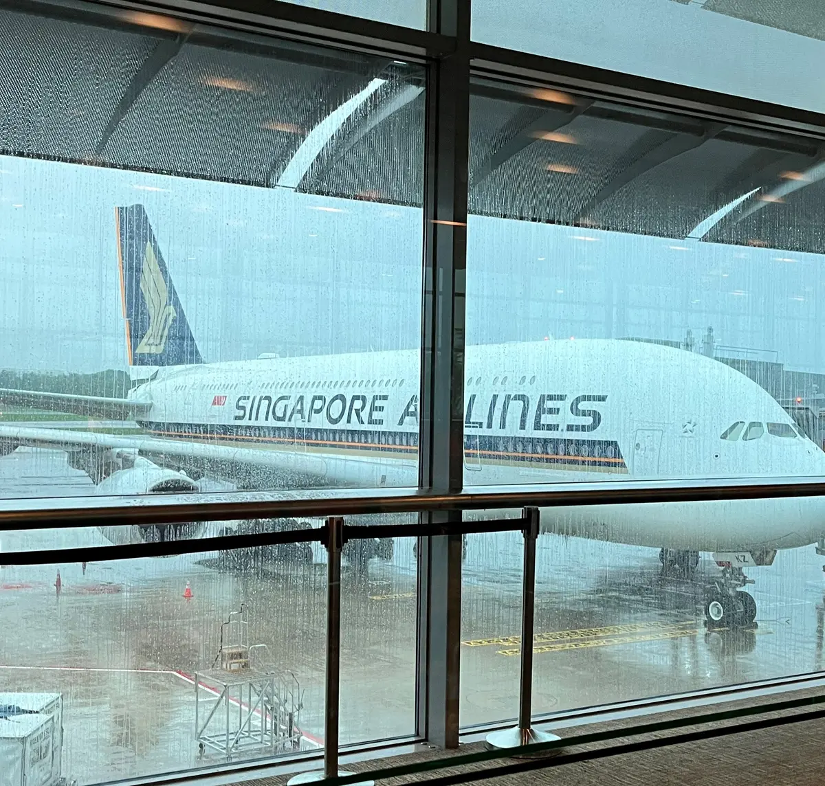 飛行機を見る度にワクワクします