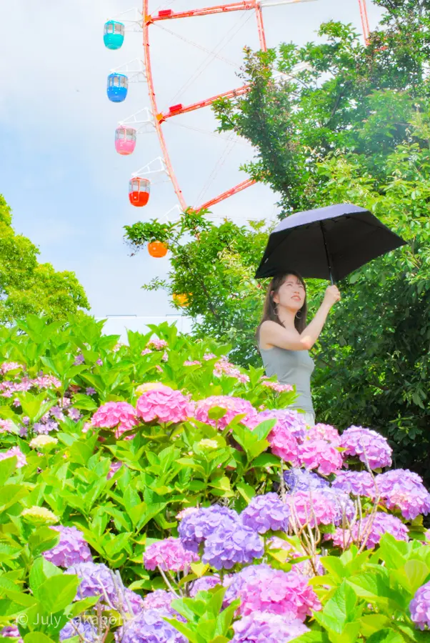 【さかぽんの冒険】朝活からの紫陽花旅☆@の画像_15