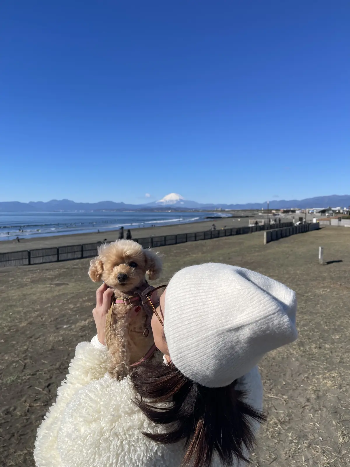 2026年スタート✨今年もよろしくお願いの画像_4