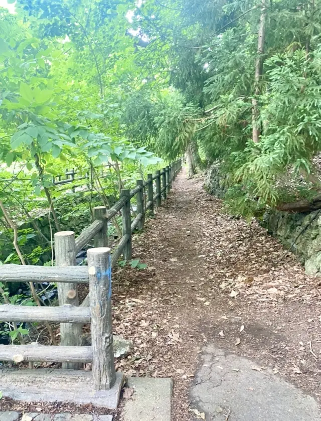 自然の中で、のんびりと過ごすことの贅沢✨の画像_6