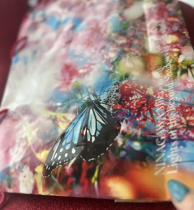 現実から異世界へ、美しくも儚い蜷川実花さの画像_17