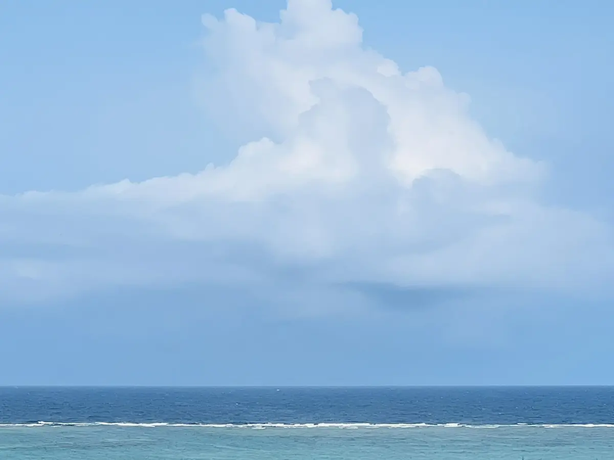 朝食タイムの景色