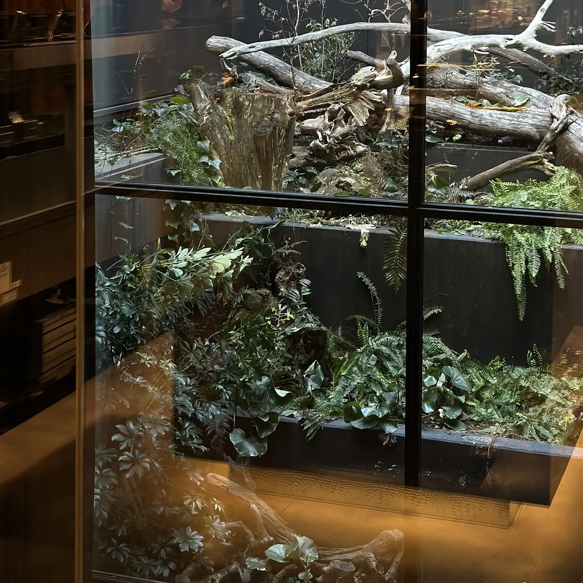 自然と融合された美術館のようなショコラトの画像_3