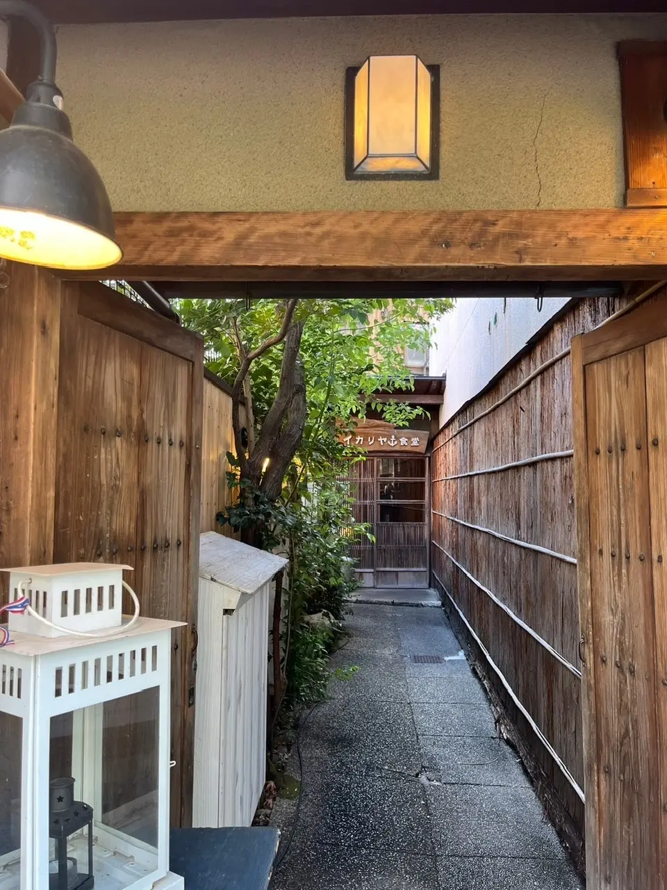 京都　イカリヤ食堂　ビストロ