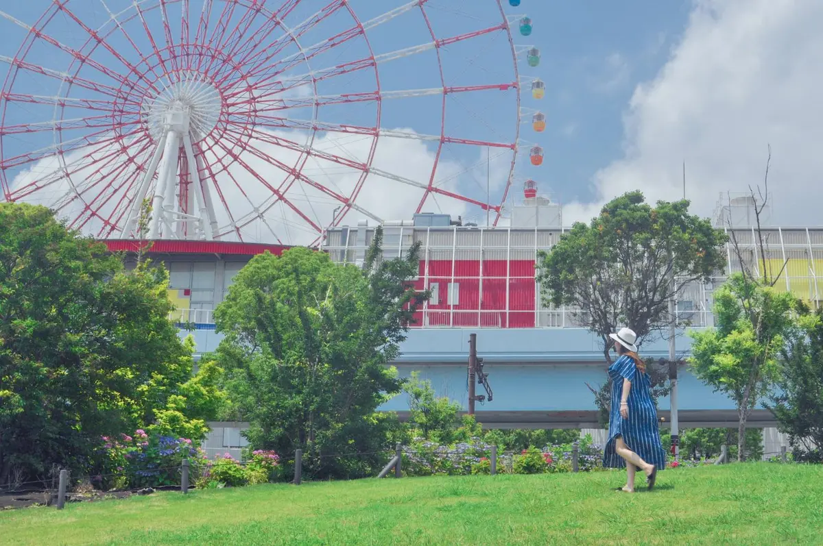 【さかぽんの冒険】初夏のお台場 あじさいの画像_6
