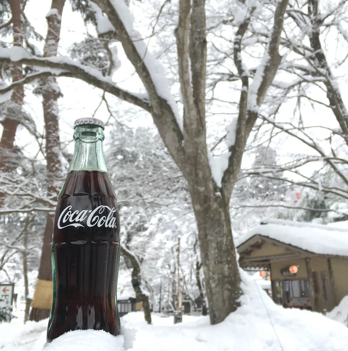 コカ・コーラ　コーラ　瓶コーラ