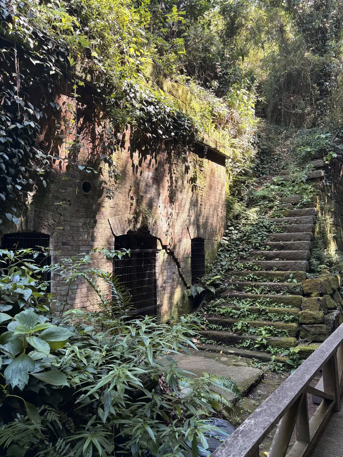 東京湾の無人島　猿島　横須賀　自然島