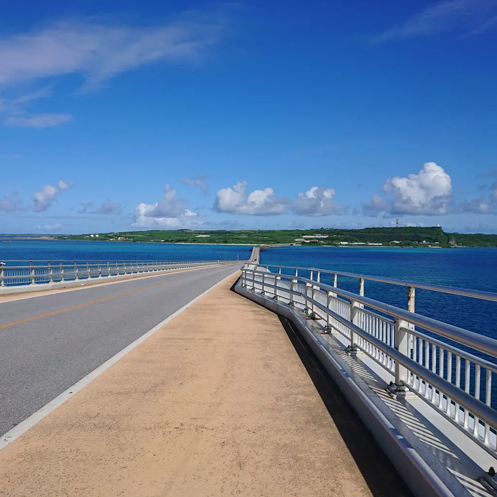 オープンしたばかりの絶景ホテルから念願のの画像_4