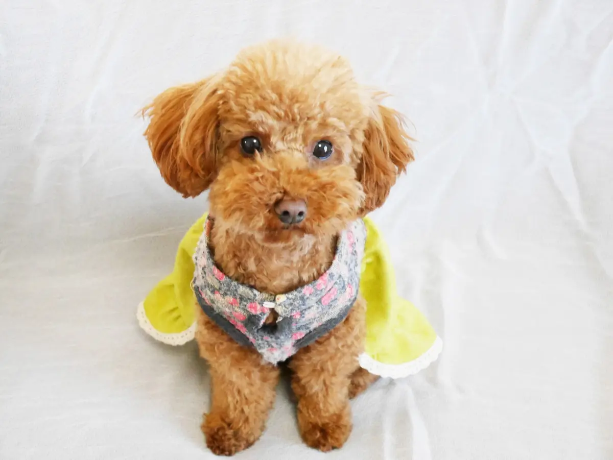 50代女性のホンネ：私はこうして夫を手のの画像_2