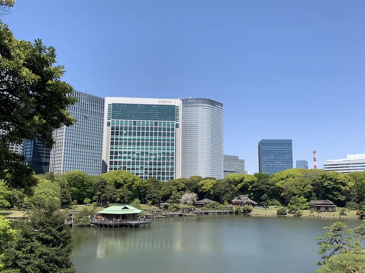 富士見山から見た景色