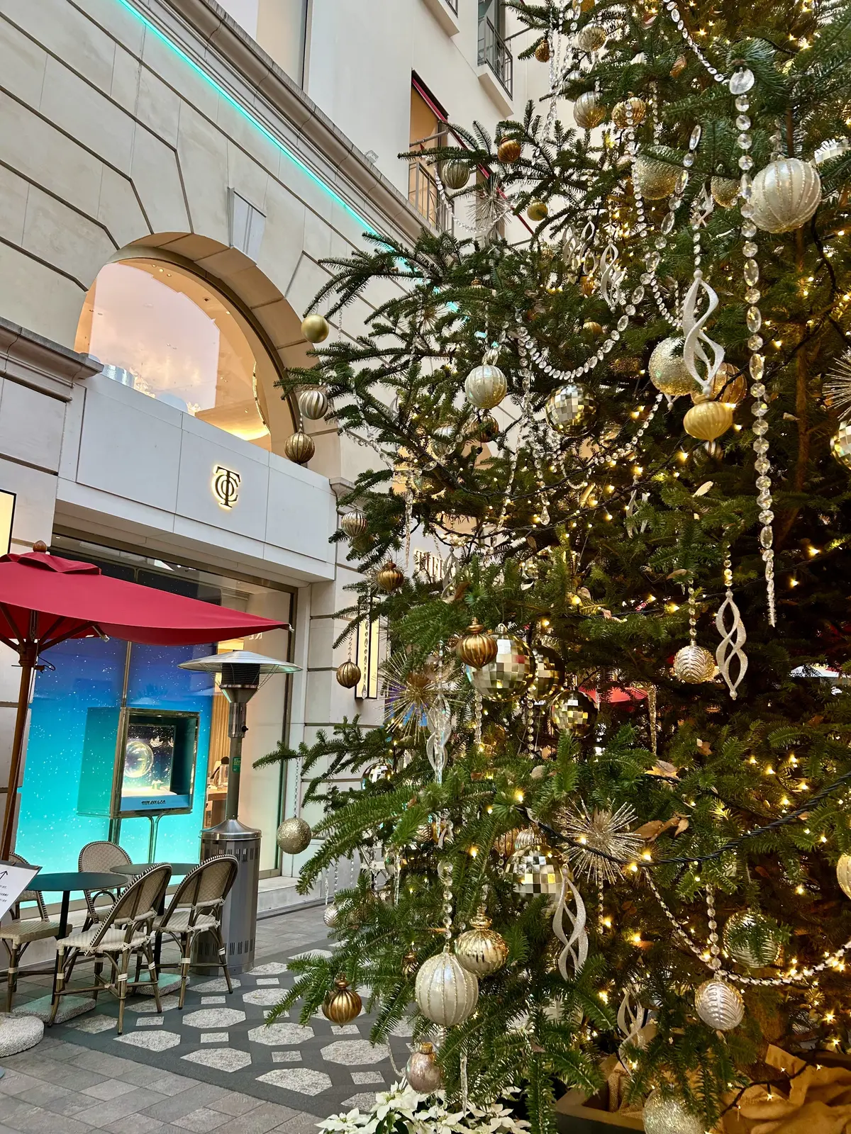 第2回ソワレ･ドゥ•エクラへ♪の画像_1