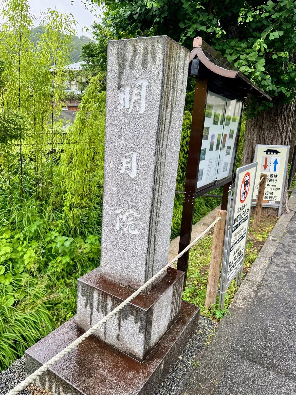 紫陽花の季節、自分で仕立てたお着物で古都の画像_1