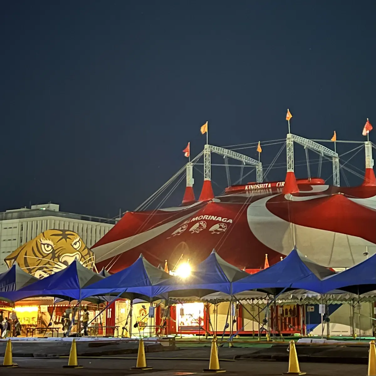 世界三大サーカス　木下大サーカスへの画像_4