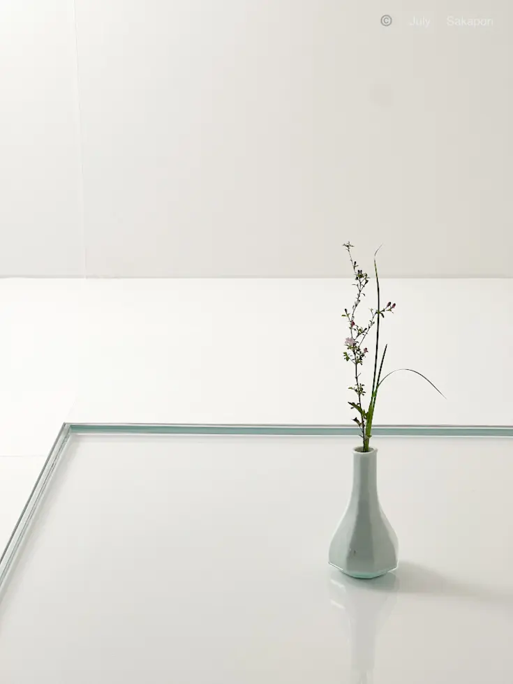 【池坊いけばな展】伝統文化の継承に感動🫠の画像_1