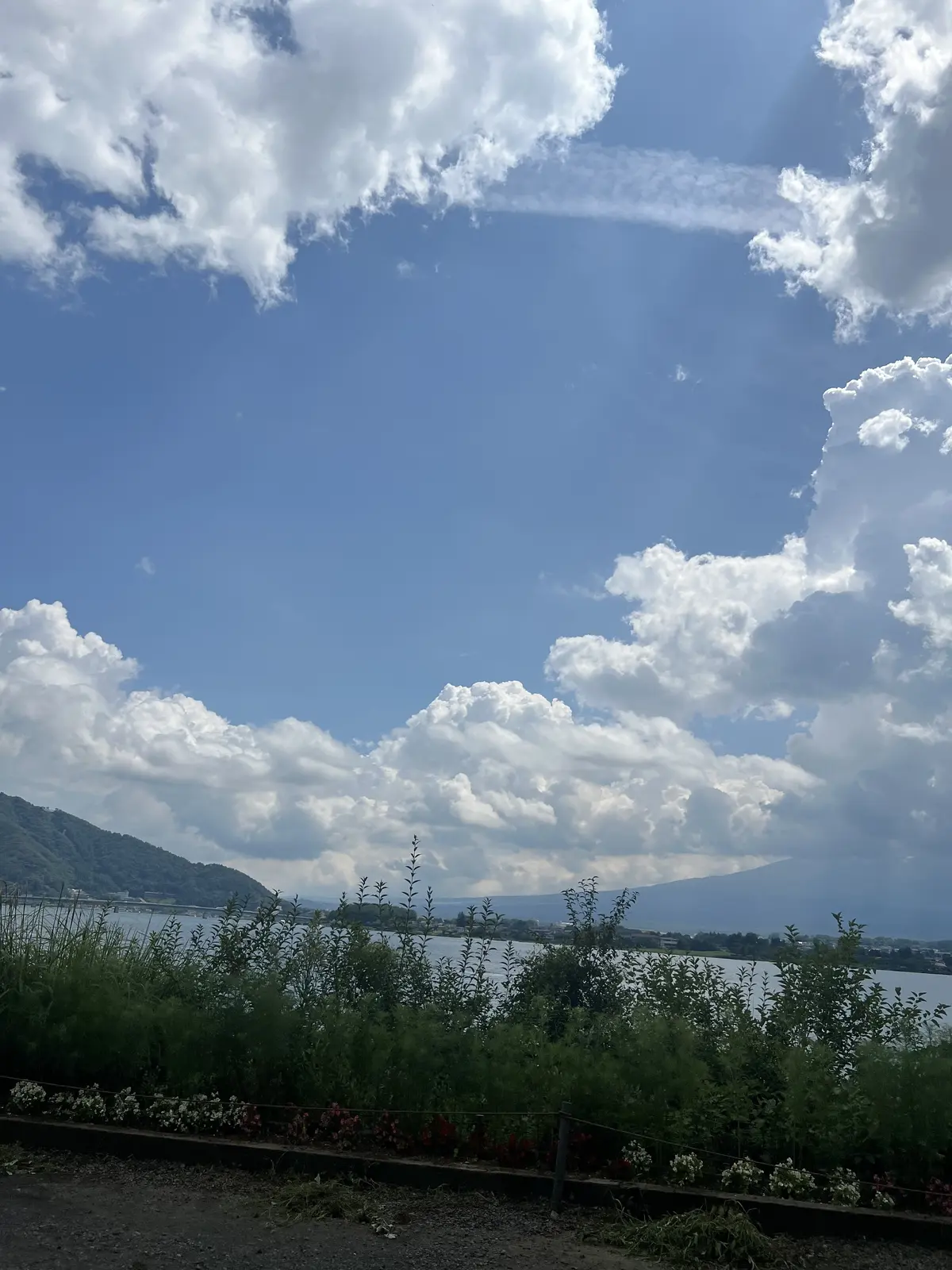 河口湖日帰りドライブで目指すはハンバーガの画像_10