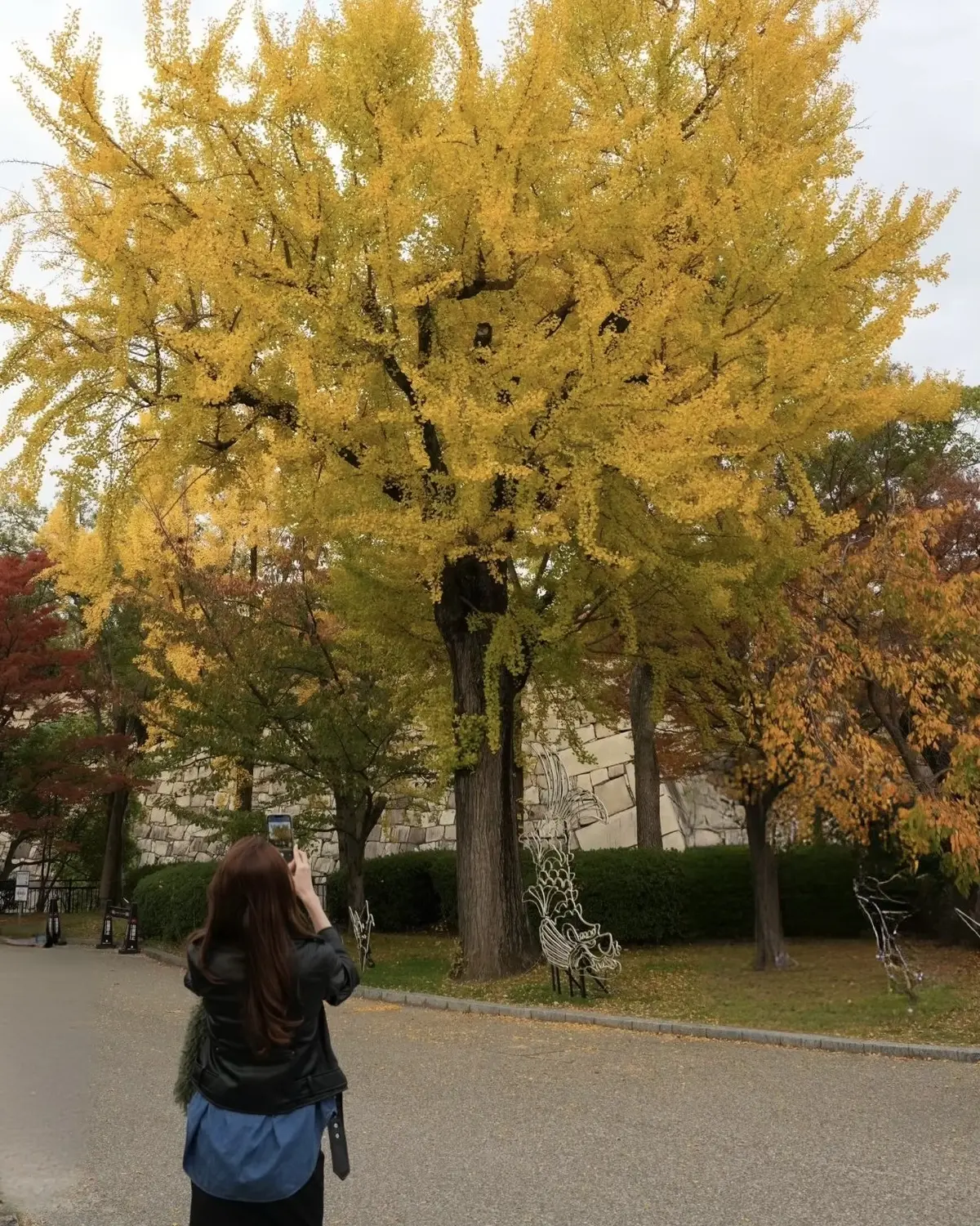 【UNIQLOデニムシャツ×スキニーパンの画像_5