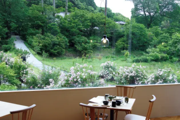 熊本の“ツクシイバラ”を楽しめる、至福のの画像_3