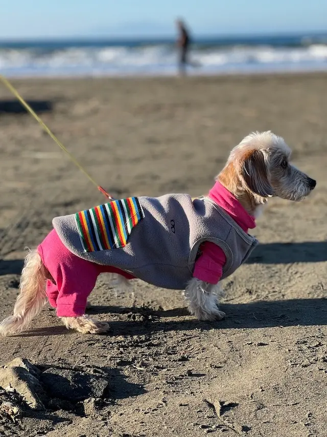 ホワイトタイガーネイルと帽子コーデ 〜 の画像_12