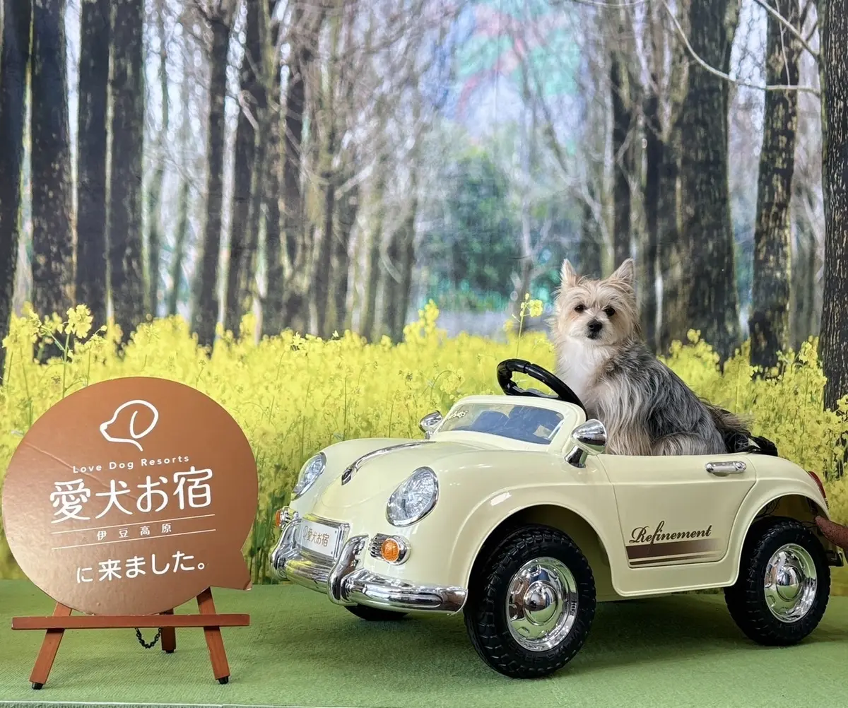 一泊目は「愛犬お宿」に泊まりました！