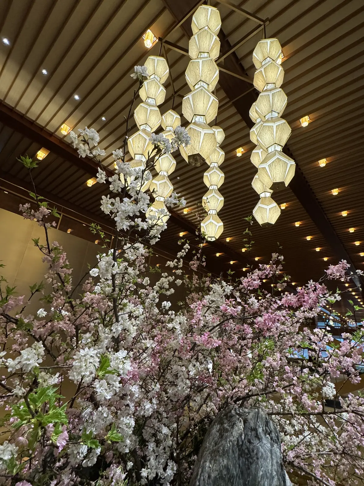 久しぶりの家族時間。ホテルオークラ『桃花の画像_8