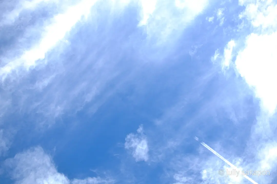 【さかぽんの冒険】フライング紅葉狩り@北の画像_17