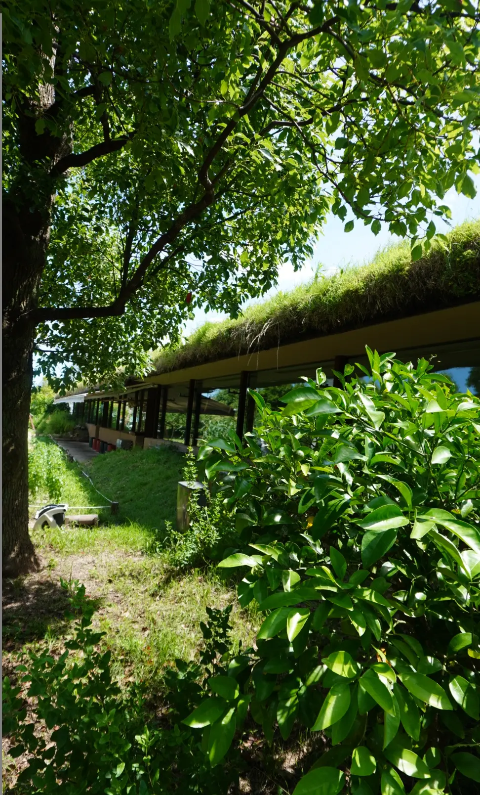 心身共に優しい癒しのスポットで爽やか夏デの画像_29