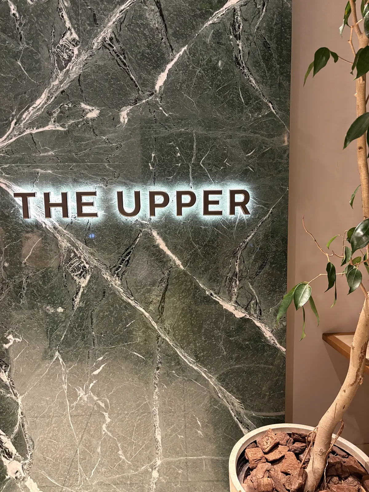 GW学生時代友人たちとランチ会@東京駅の画像_4