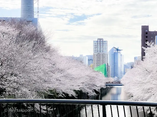【さかぽんの冒険】AirPods Proの画像_2