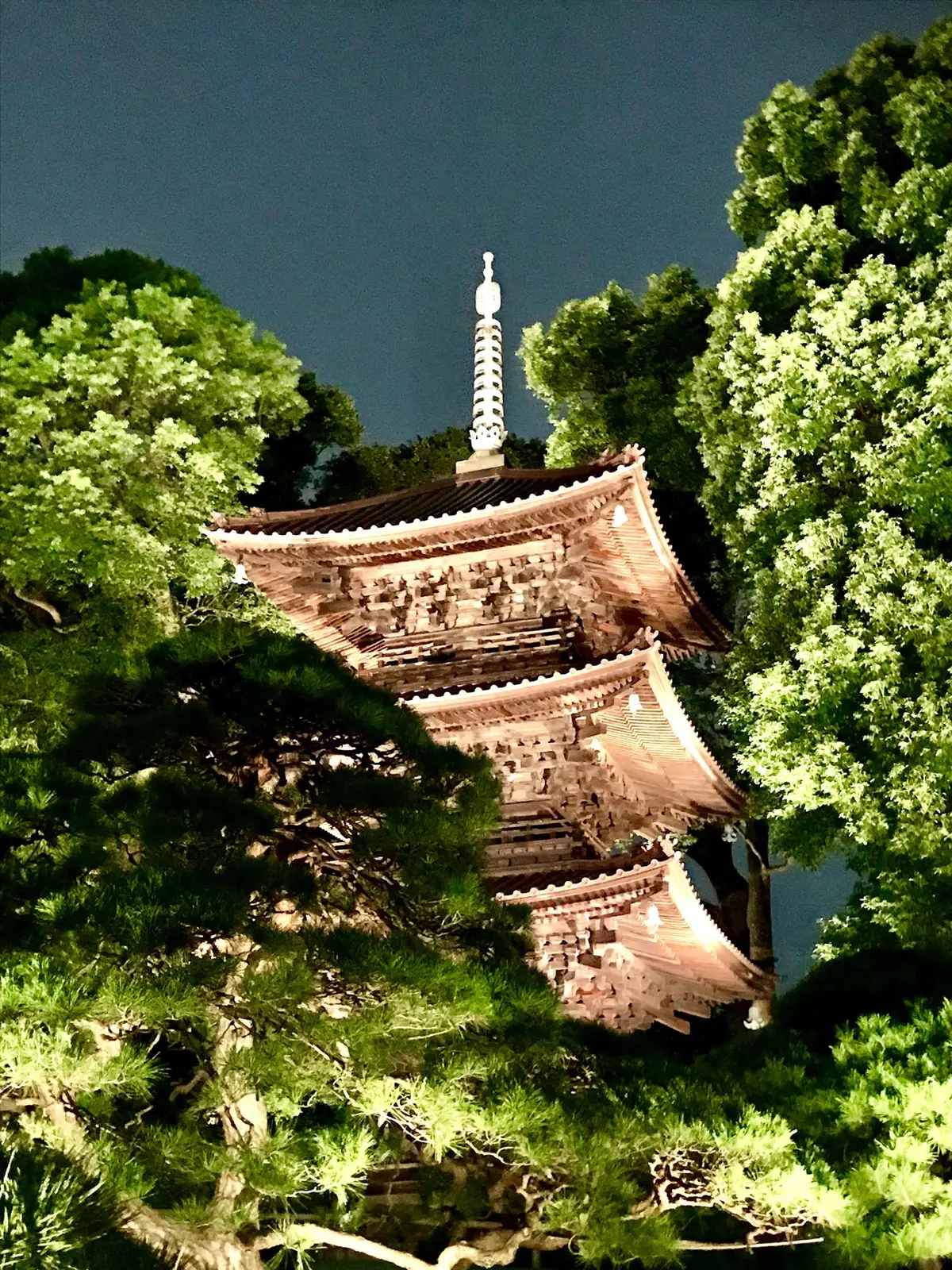ホテル椿山荘東京「東京雲海」