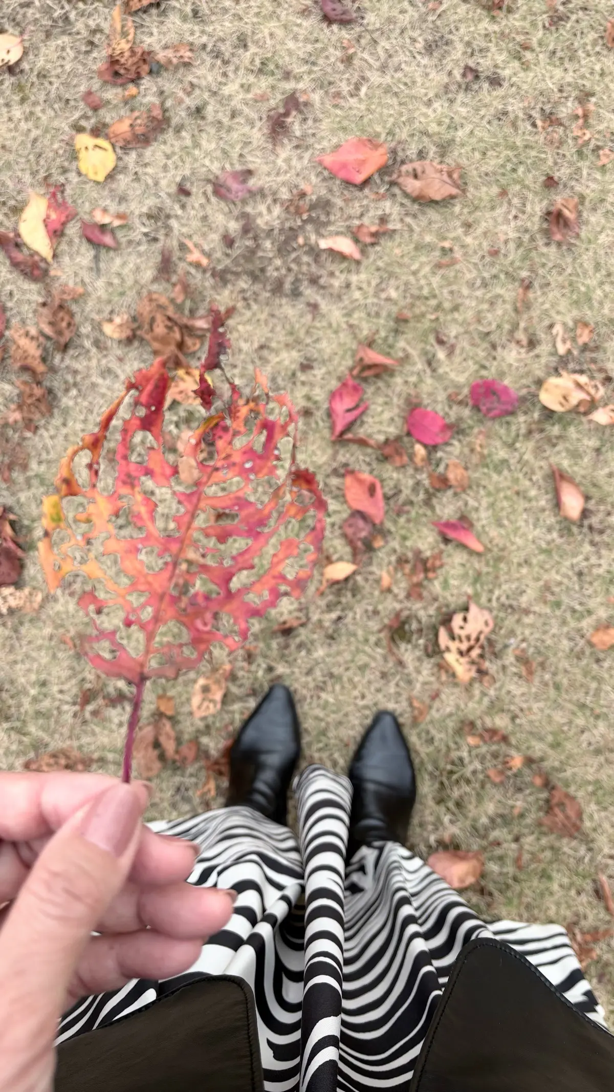 コーディネート　モノトーンコーデ　プラステ　GU