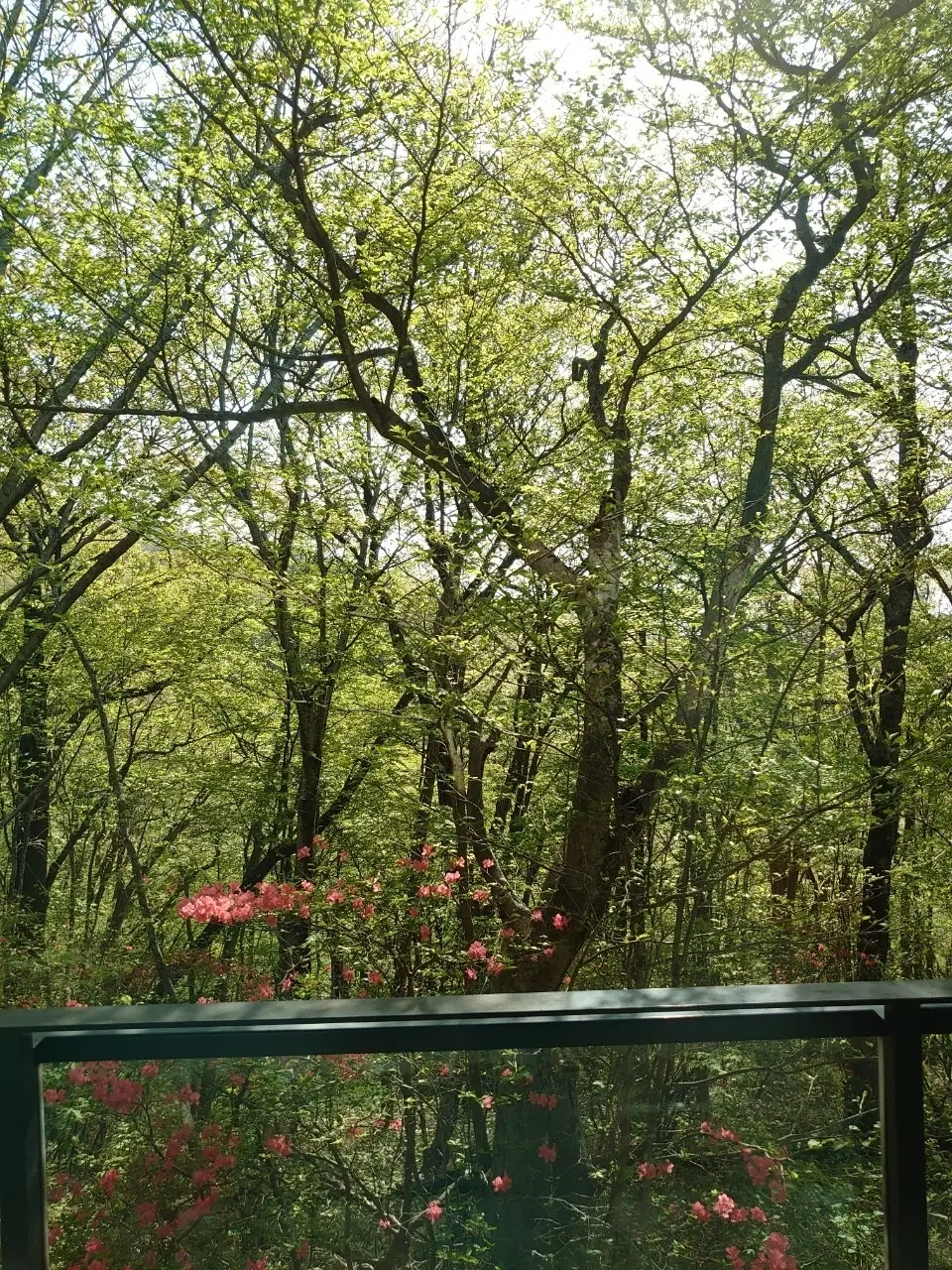 オーベルジュ　ラ　メゾンド　那須